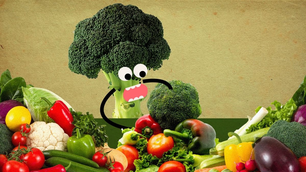 User Research, Observability, and Institutional Navigation: The Vegetables Before AI Dessert